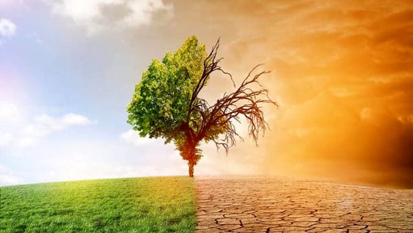 Scelte climatiche: Fare la cosa giusta. O forse No.