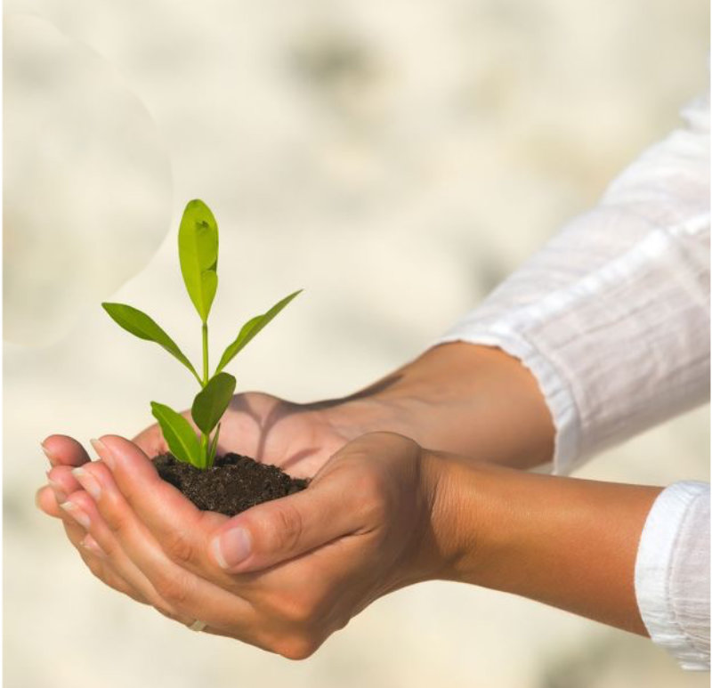 L’anima della comunità educante: amare, animare, educare.
